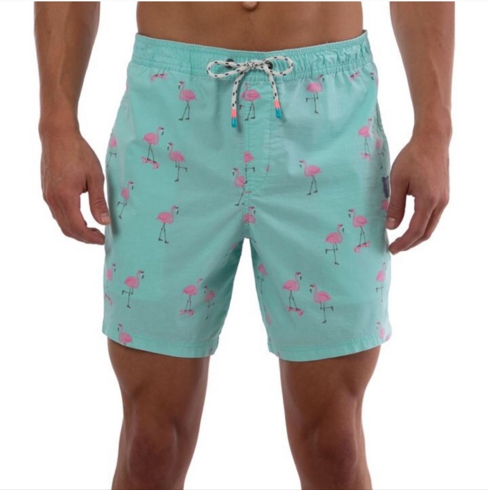 Party Pants Cruiser Flamingo Shorts